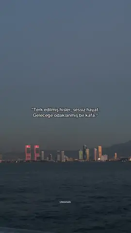 Bu kadar. #storylikvideolar📌 #sözlerdiyarı #videoviral #foryoupage❤️❤️ #litoremaris #hüzünlüvideolar 
