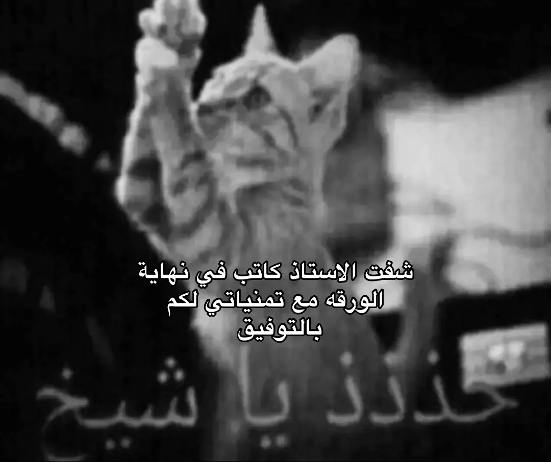 #fyp #foryou #fyppppppppppppppppppppppp #viral #تذيفات🇸🇦 #اكسبلور #ورقه #توفيق 