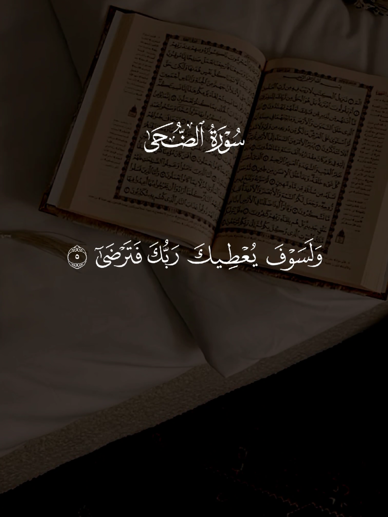 #quran #القرآن #quran_alkarim #القران_الكريم #qu_ran_n #تلاوة_خاشعة #qu_ran_n؛؛قرآن #quran_114st 