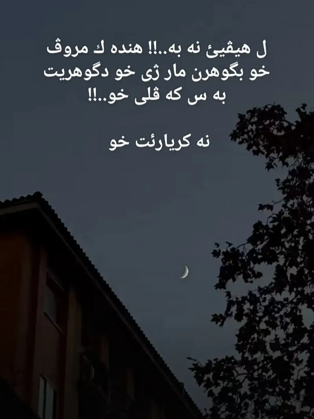 #زاخو_دهوك_هولير_سليماني_ئاكري_سيمي 