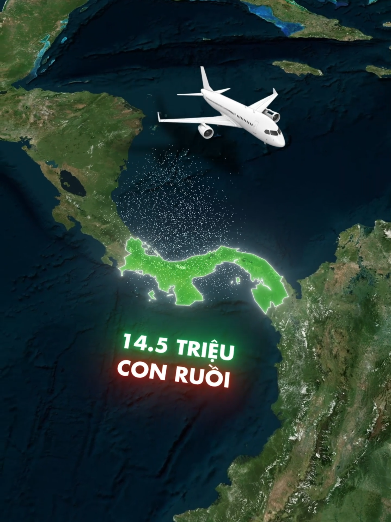 Tại sao Hoa Kỳ thả hàng triệu con ruồi vào Panama ? #namdaykhamphathegioi #namday #xuhuong2025 #geography