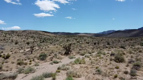 Had so much fun in #vegas I bought some land #letsbuild on the channel #builtnotbought #land