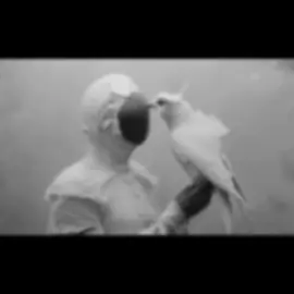 #fyp #foryoupage #ppppppppppppppppppppppppppppppppppp #tiktok #تصميم_فيديوهات🎶🎤🎬تصميمي🔥 