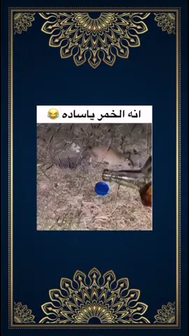 #المغرب🇲🇦تونس🇹🇳الجزائر🇩🇿 #fyp #الشعب_الصيني_ماله_حل😂😂 