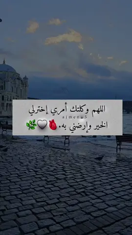 اللهم وكلتك أمري إختربي  الخير وإرضني به.🫀🤍🌿 #عبارات #معتزل🔒 