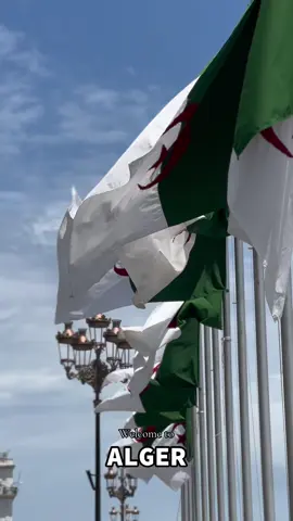 ALGER la blanche 🇩🇿 #algeria #algerie #dz #tahiadjazair #🇩🇿 #fyp #pourtoii #vacances #voyages 