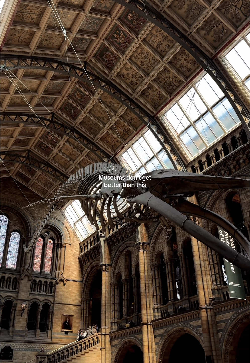 A dream come true…the Natural History Museum of London truly feels like walking through the halls of Hogwarts. #london #england #harrypotter #museum #naturalhistorymuseum #hogwarts #art #travel #fyp #foryou #londonlife #londontiktok #potterhead 