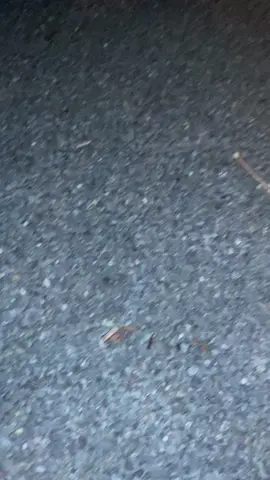 Pang may day nyo#bonfires #beach #fire 