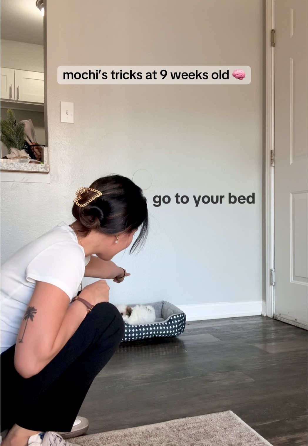 Only 9 weeks old and already a genius 🥹🤓  #maltipoo #puppy #puppylife #puppytiktok #dog #dogsofttiktok #puppytraining #fypシ #fyp #fyppppppppppppppppppppppp 