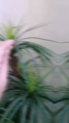 لاتعاتب.. من هنت عليه، فلا عتاب لمن استباح أذيتك....🙂