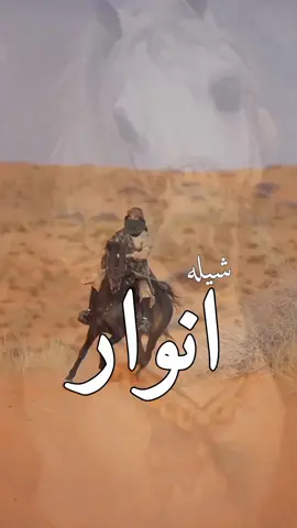 افخم شيلة باسم انوار 2025 - شيلة مدح باسم انوار اداء بندر الذرفي  #شيلة #باسم #انوار #افخم #شيلة #مدح #انوار #2025 