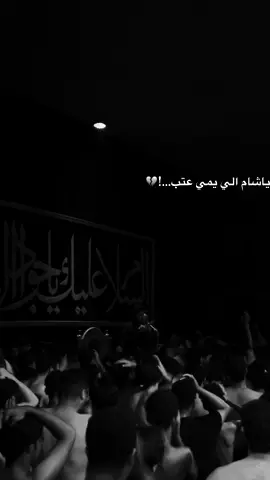 #سجاد_المحمداوي #ليث_القاسمي #عزاء #عزاء #الناصريه #الموحد #مجالس #الناصريه #شور_حتى_الظهور #ياحسين #يااباعبدالله_الحسين 