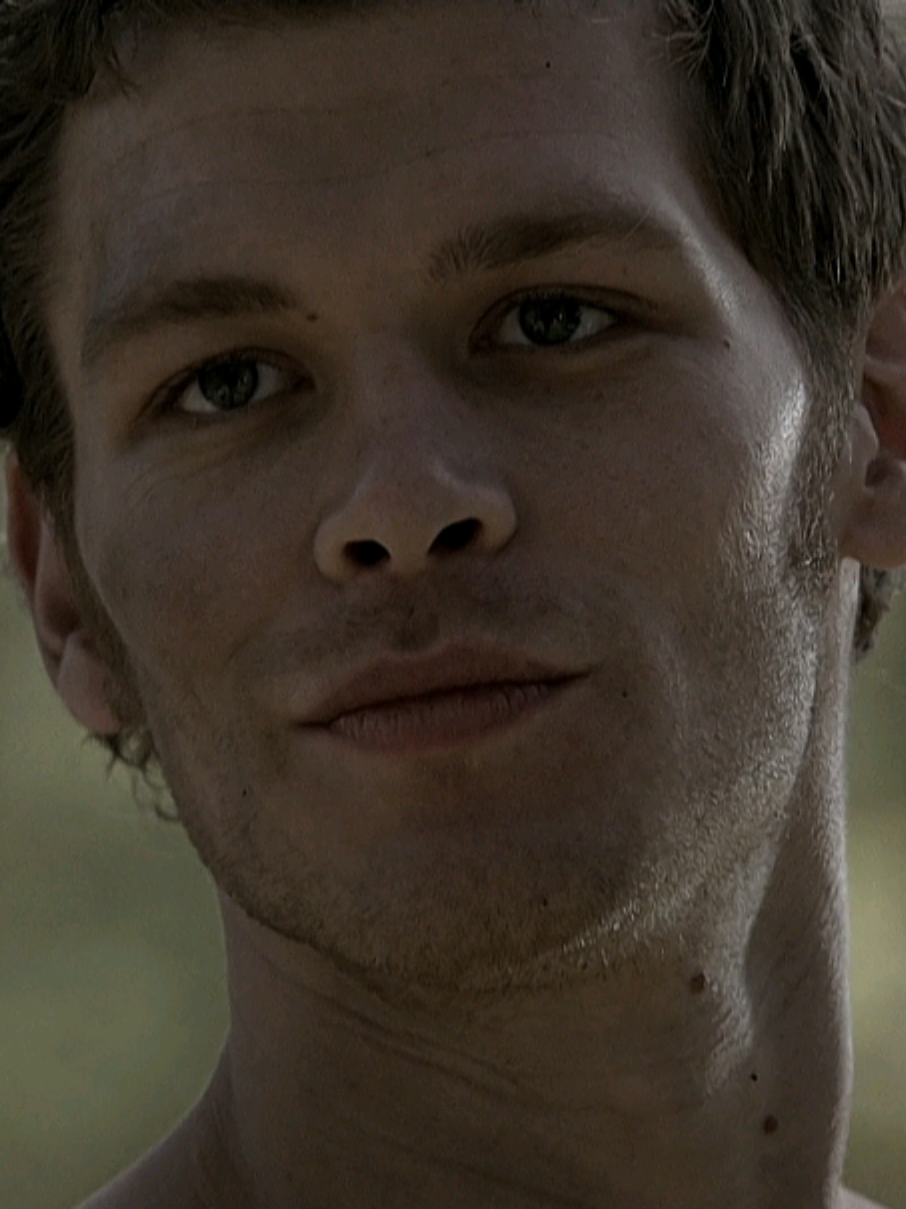 meu loirinho visse #klausmikaelson #josephmorgan #thevampirediariesuniverse #aesthetic #vaiprofycaramba #paravoce 
