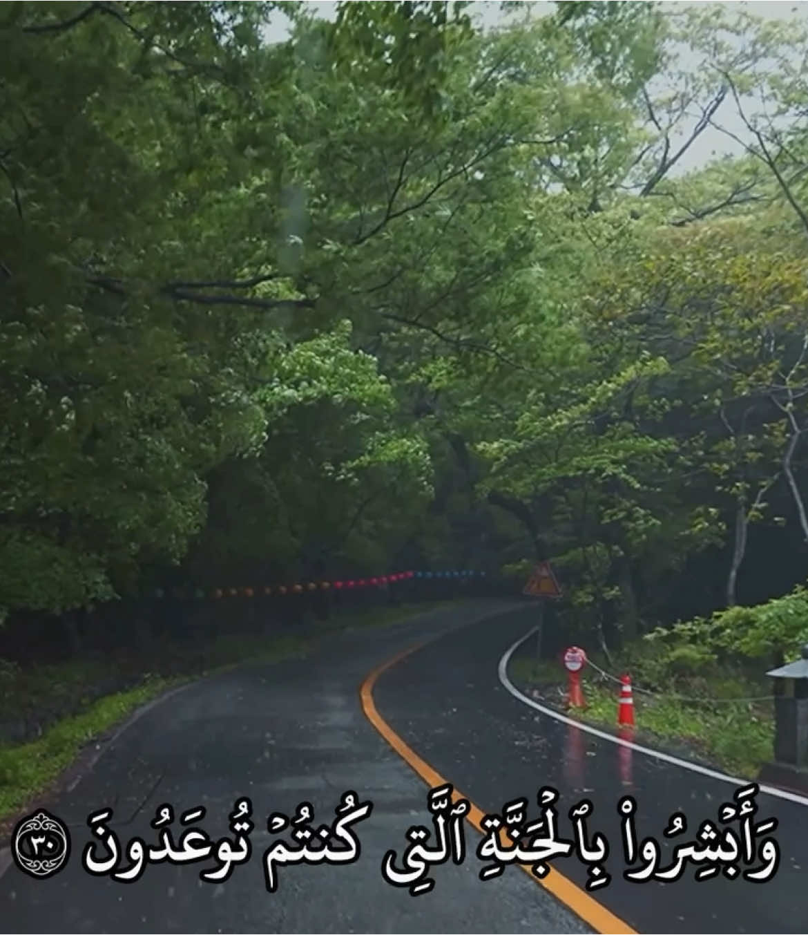 (وَأَبۡشِرُواْ بِٱلۡجَنَّةِ ٱلَّتِي كُنتُمۡ تُوعَدُونَ ٣٠ ) _____________________________ سورة فصلت : ماهر المعيقلي  _____________________________ #quran #quran_alkarim #قران_كريم #قران #ماهرالمعيقلي #تلاوات 
