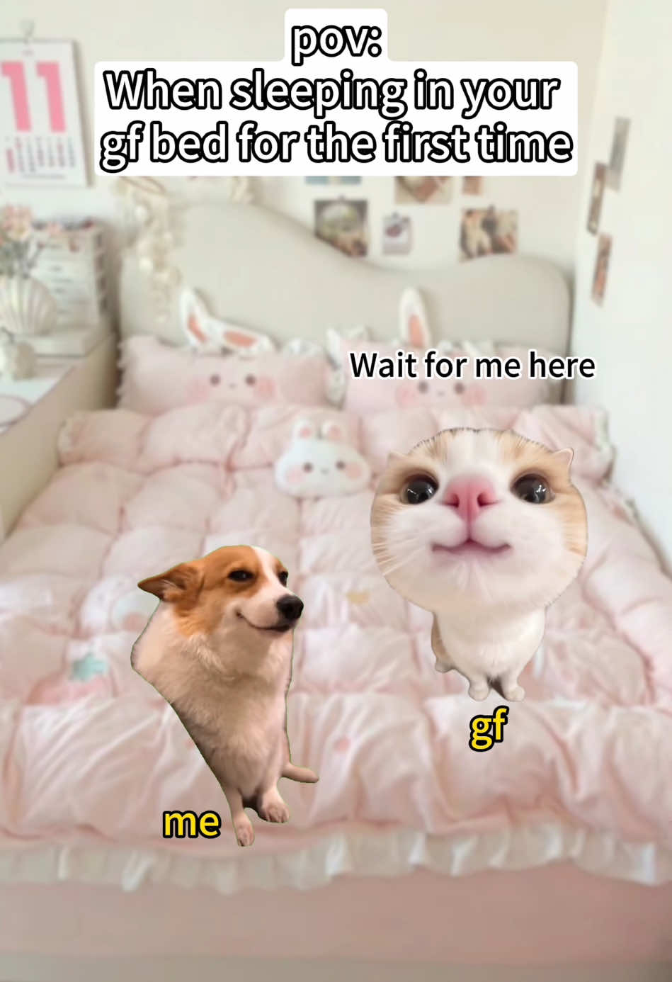 #catmeme #funny #cat #meme #Foryou 