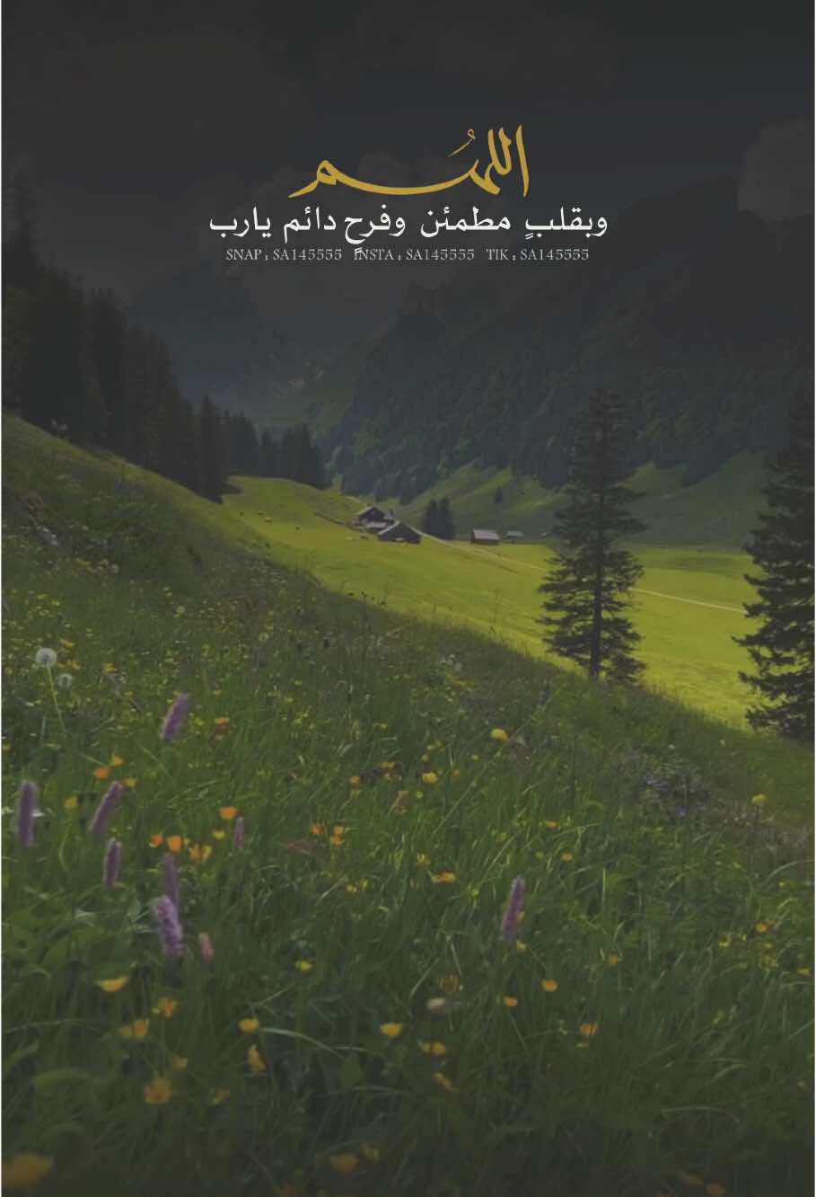 يارب 🤲 