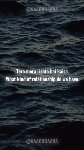 #desitiktok #englishtranslation #fyp #tiktokpakistan #desimusic #lyrics #tumhiho 