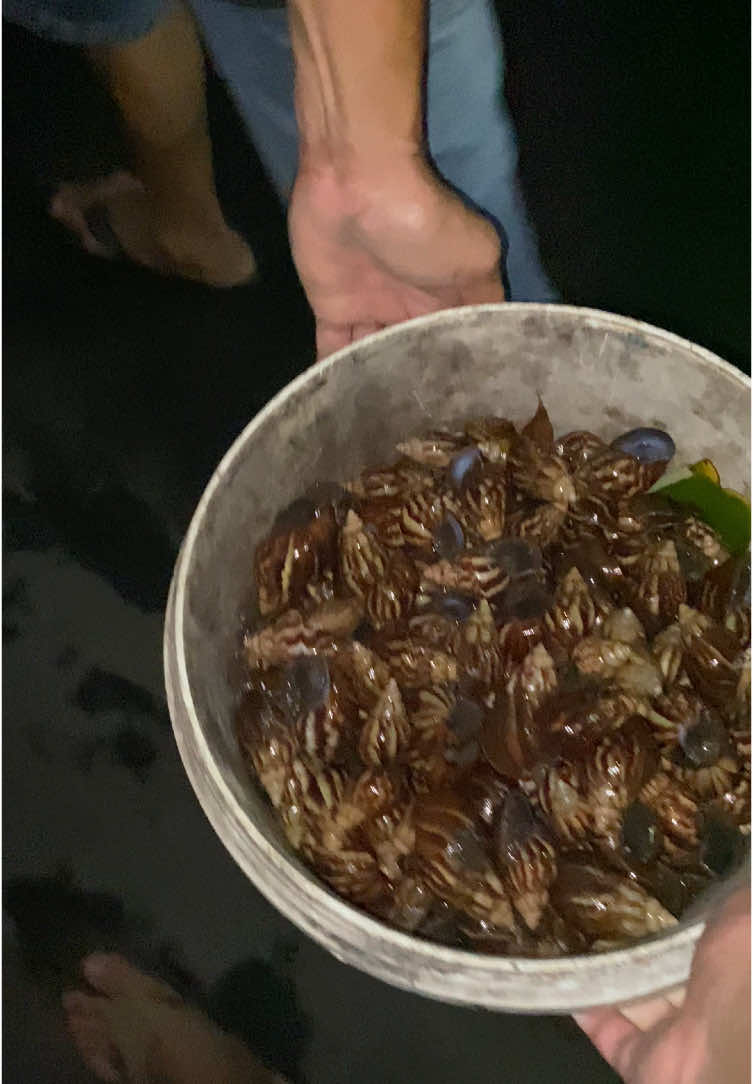 Musem udiann pren 🐌 #blitar24jam #fyp #bekecot #masak #kampungsakura #sakuramentality #xybca #kulinerblitar 