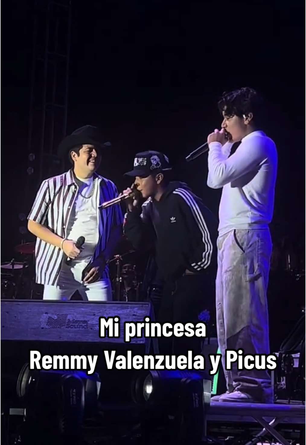 MI PRINCESA- REMMY VALENZUELA  @Remmy Valenzuela @Picus Oficial @TonyOficial @LUIGI  🐐 #remmyvalenzuela #miprincesa #feriasanisidrometepec #metepec #concierto #2025 #envivodesdeelrancho 