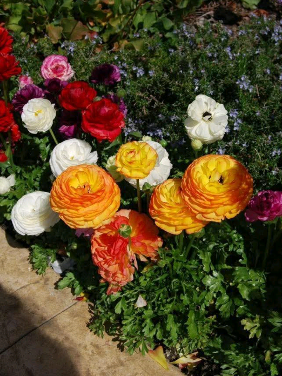 chúng ta đâu làm gì sai, chỉ là thương nhau sai thời điểm #tamtrang 