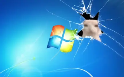 aqui está el pinche gato comiendo papas por si lo están buscando  (si lo van usar de créditos) #xyzbcafypシ #fyppppppppppppppppppppppp #gato#cat