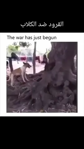 #onthisday 