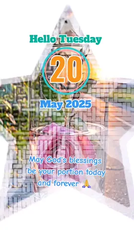 #CapCut #hellotuesday #goodmorning #itsanewday #itstuesday #fyp #viral_video #viral_video_tiktok #trending #fyp 