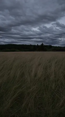 this is one of my favorite place (here sad).