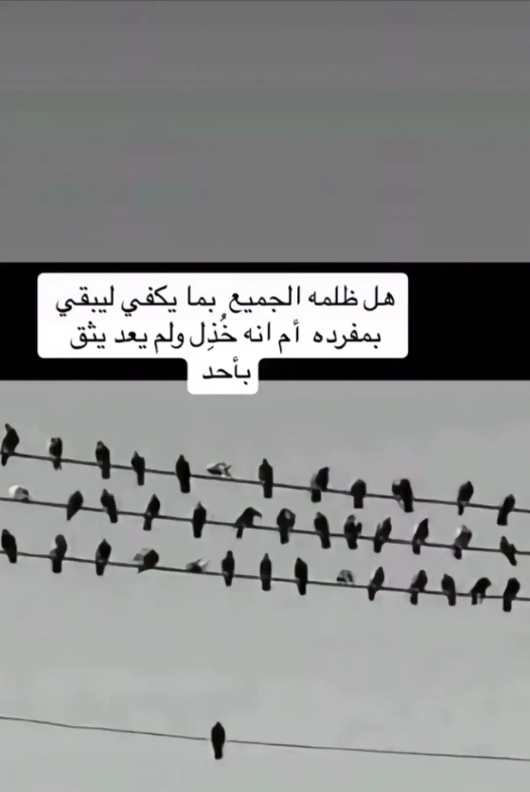 #اكسبلور 