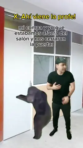 #humor  #paratiiiiiiiiiiiiiiiiiiiiiiiiiiiiiii  #realidad 