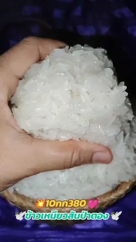 ข้าวเหนียวสันป่าตองตรานกเขาคู่เหนียวนุ่มอร่อยห๊อมหอมจ๊ะ #แม่แตสินค้าราคาถูก #ข้าวเหนียว #ข้าวเหนียวสันป่าตอง 