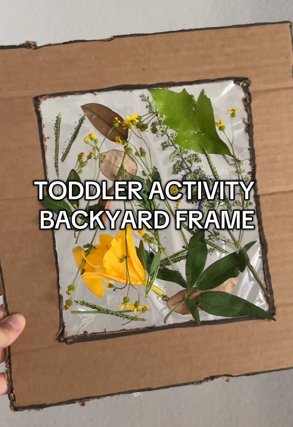 Backyard Frame!! 🌱🌼🌾🌞 #toddleractivity #toddleractivityideas #toddlersummeractivity #fyp #toddlertok #MomsofTikTok #momtok #kidssummeractivity 