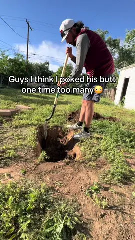 Already digging my grave🥲  #fyp