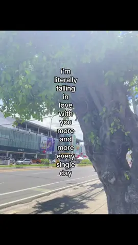 Im literally faling inlove. #fypppppppppppppp #xybca #inlove #content 