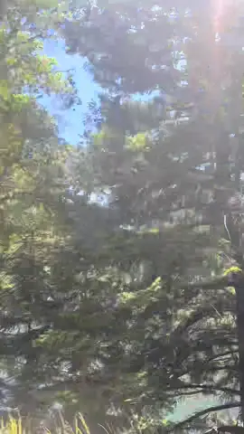 Hiking in one of my favorite spots #california #californiaadventure #cali #Hiking #hikingadventures #hiketok #hike #hikingszn #fyp #fyppppppppppppppppppppppp #fypage #fypシ゚ #fypp #fyppp #fyppppppppppppppppppppppp #fypdongggggggg 