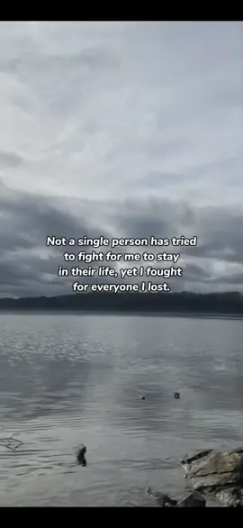 #CapCut 