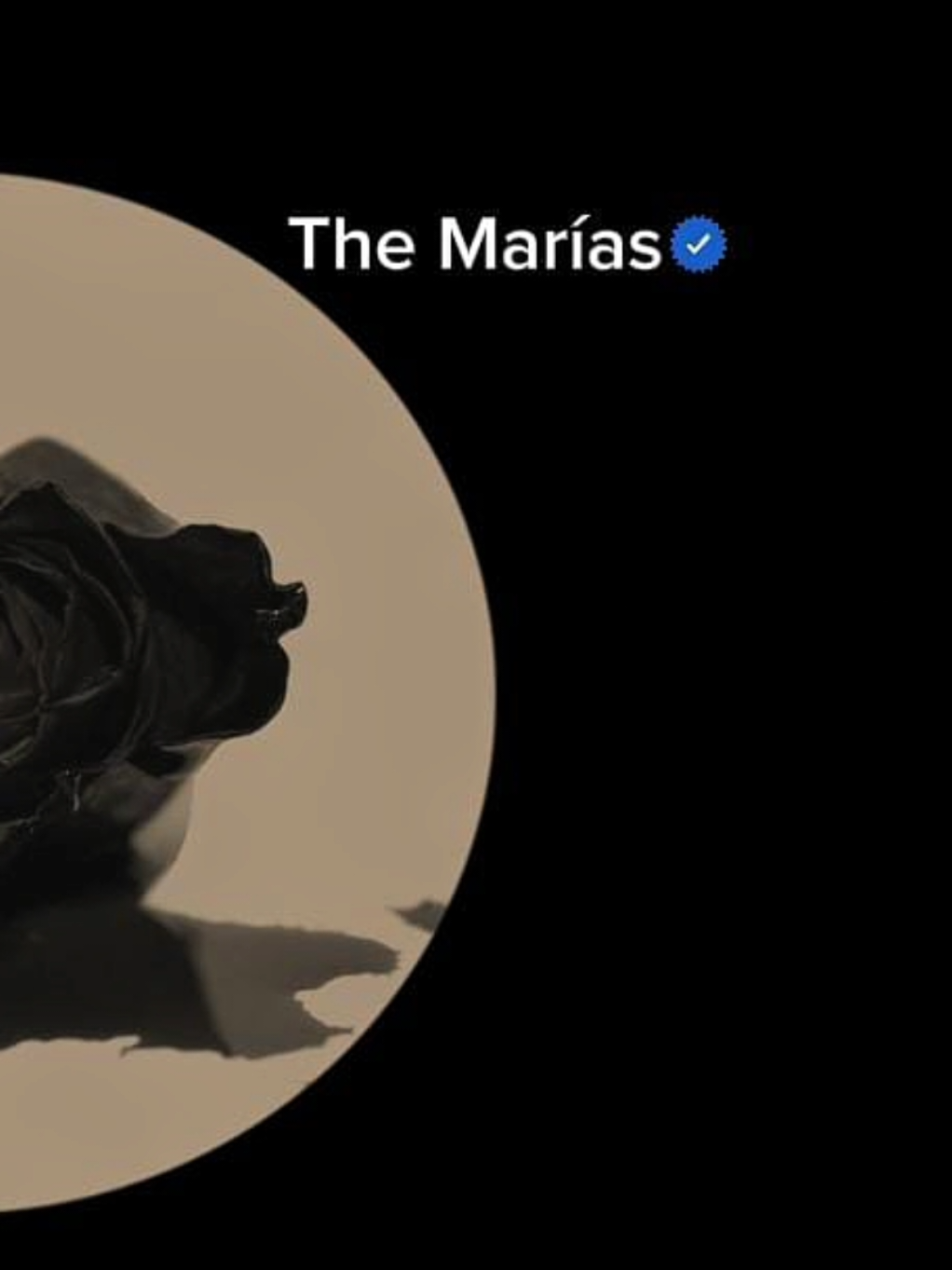 Heavy #themarias #heavy #life #lyrics #fyp #riverasong 