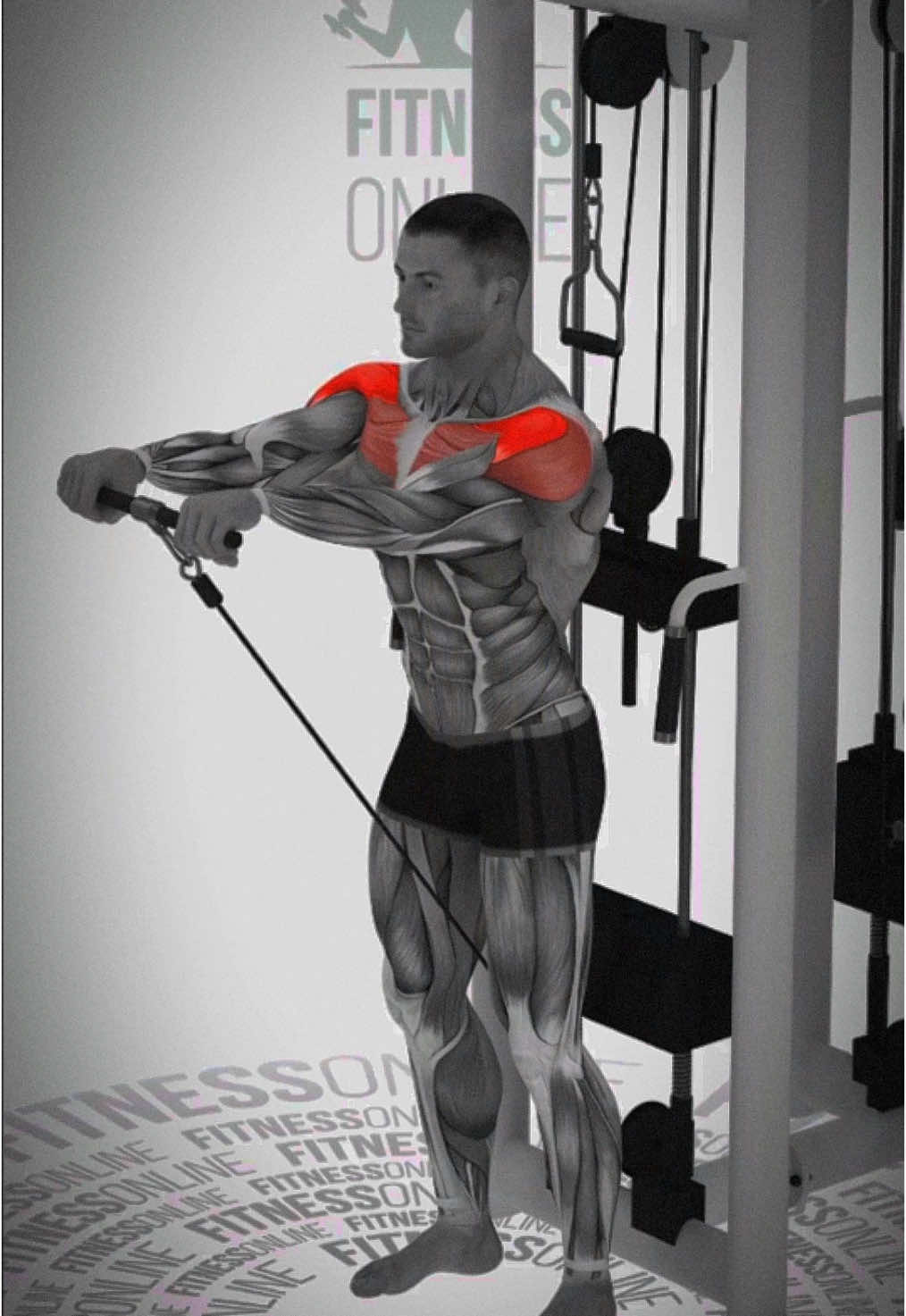 Ombros cebola, treino completo de ombros !  #TreinoDeOmbro #Musculação #OmbrosTrincando #ShapeEmConstrução #TreinoPesado #ProjetoFitness #FitnessBrasil #CorpoDefinido #FocoNoTreino #AcademiaBR