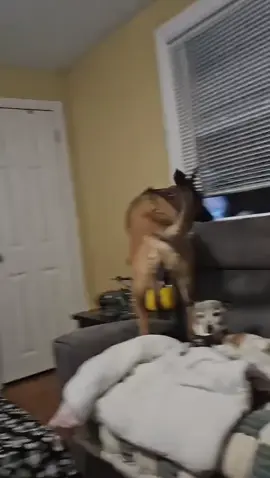 Poor Emmy