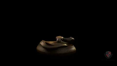 #capcut #capcut #fy #foryoupage #foryou #nonoano #rosalvolobo #cobra #interclasse #gincana #jogosinternos #vaiprofycaramba #vaiprofyinferno👺🔪