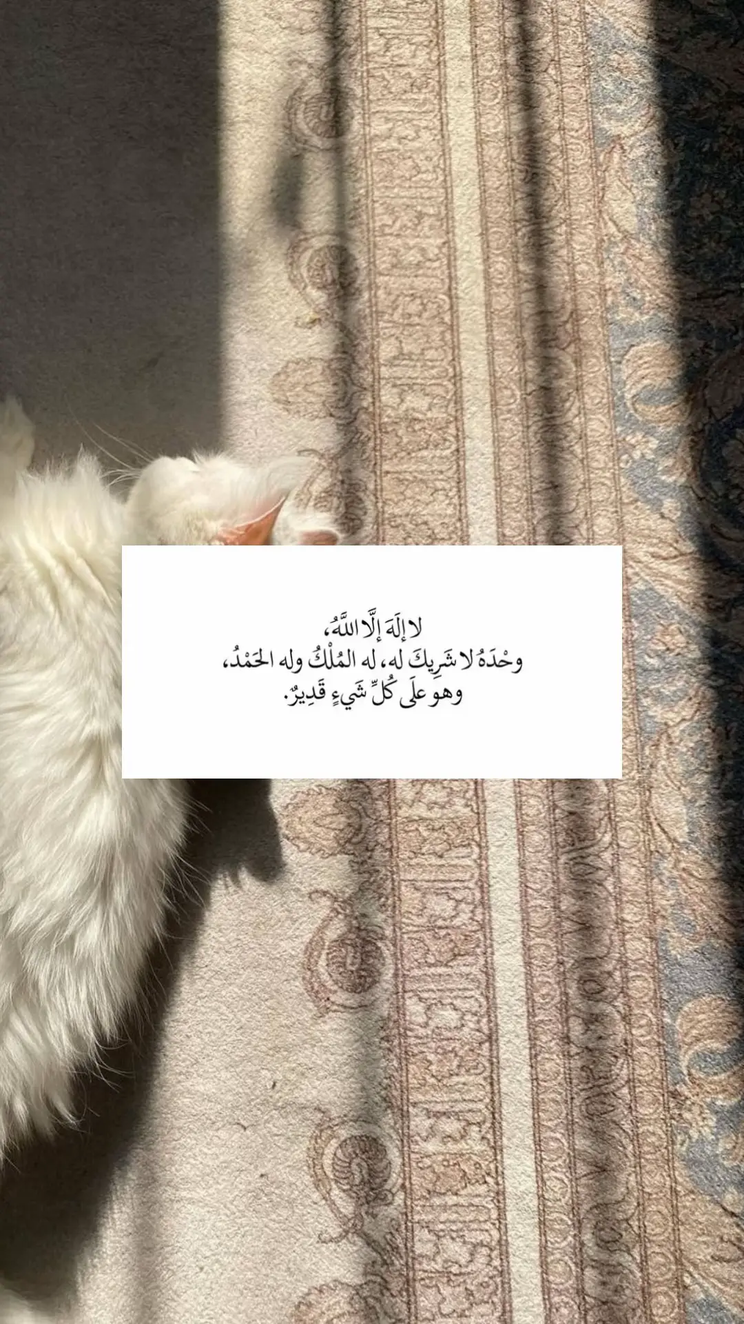 #عمر_ضياء_الدين #صدقه_جاريه_لجميع_اموات_المسلمين #استغفرالله #بالاسحار_هم_مستغفرون #قران_كريم #تلاوة_خاشعة #اذكار #ربنا_اتنا_في_الدنيا_حسنه_وفي_الأخرة #اللهم_يا_مقلب_القلوب_ثبت_قلبي_على_دينك #سبحان_الله_وبحمده_سبحان_الله_العظيم #اللهم_ارحم_ابي #قران #اكسبلورexplore #اذكروا_الله #تلاوة_خاشعة #اللهم_انك_عفو_تحب_العفو_فاعف_عنا #قران 