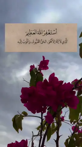 استغفرالله العظيم واتوب اليه 🥀#استغفرالله #اذكروا_الله #اكتب_شي_توجر_عليه #قران_كريم #اكسبلور #دعاء #الاستغفار #سبحان_الله_وبحمده_سبحان_الله_العظيم #قران 