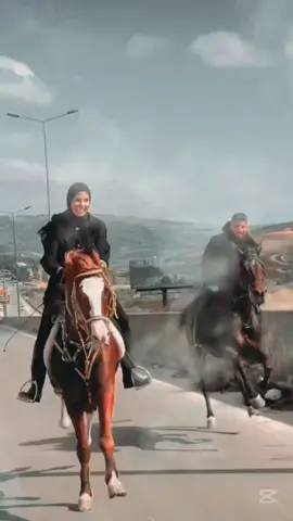 خيل وخيالة #خيل_وخياله🐎 #لبنان🇱🇧 #الجزائر🇩🇿 #fyp 