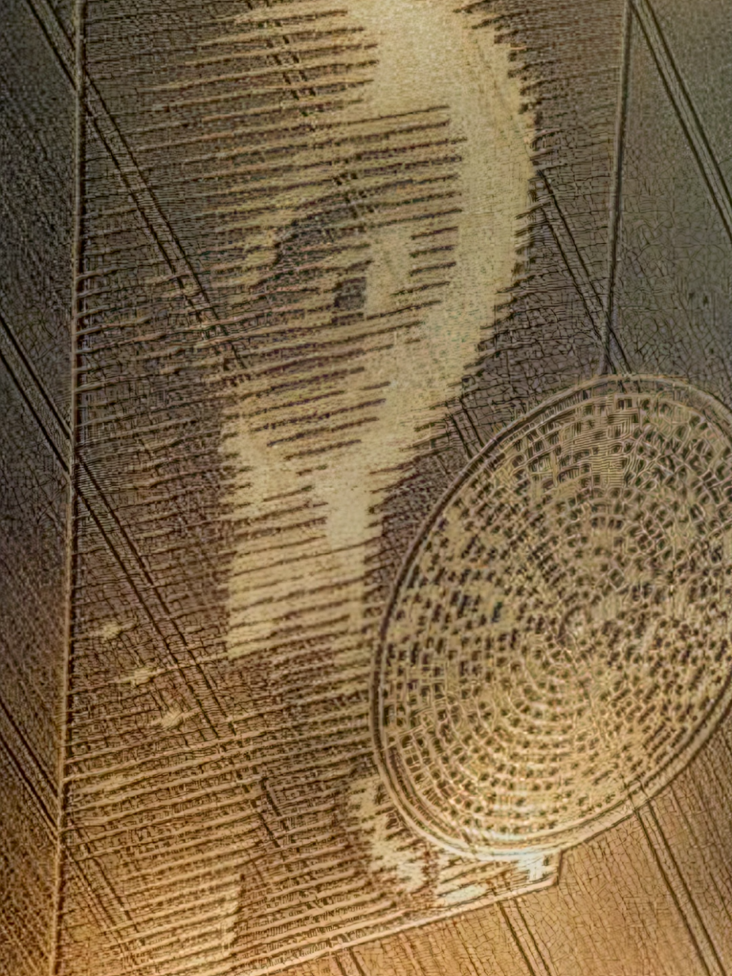 A resposta da mensagem de Arecibo. 27 anos após Carl Sagan mandar a famosa mensagem, obtivemos uma resposta. #Arecibo #mensagem #aliens #alienigenas #ufo #ovni #circulosingleses #extraterrestre #misterio #ufologia 