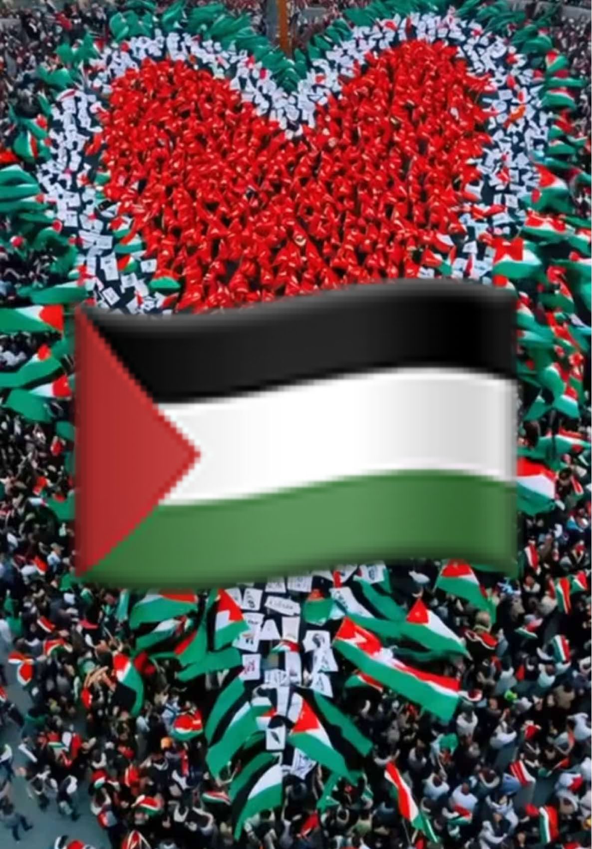 FREE FREE FREE PALÄSTINA 🇵🇸 
