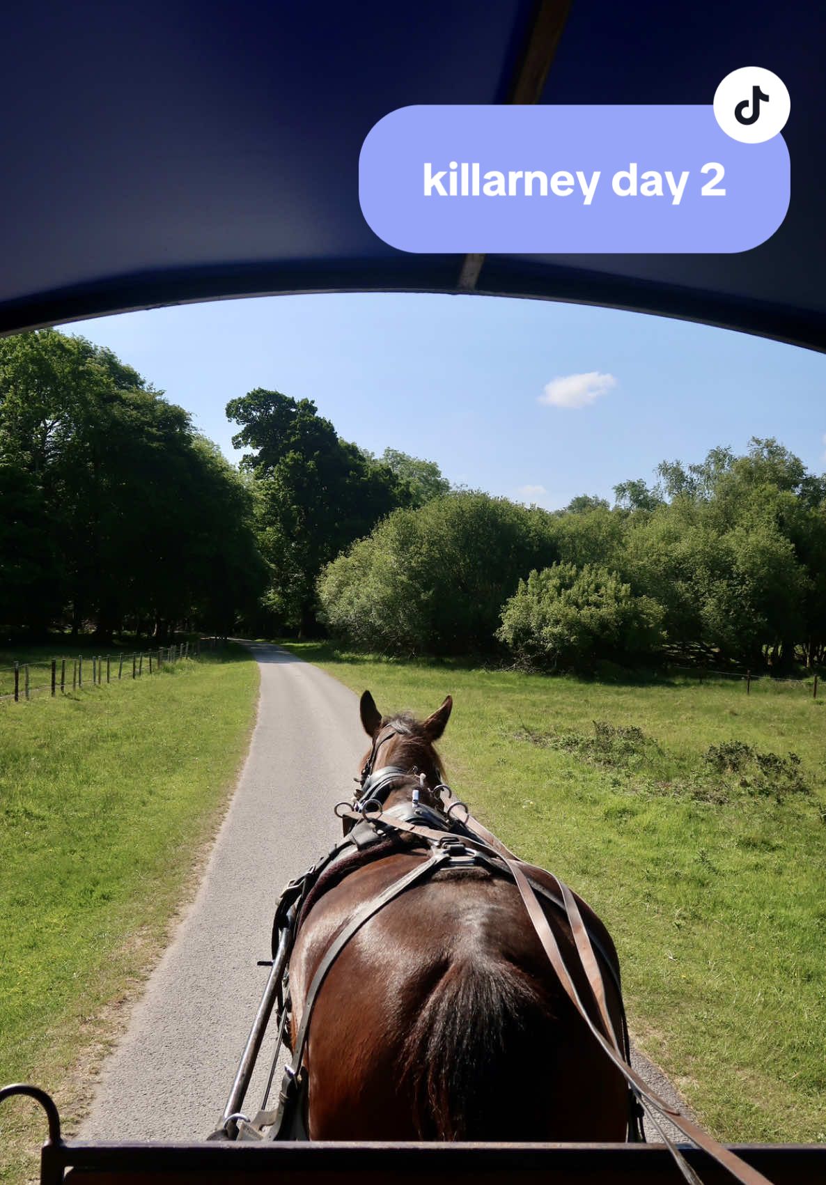 I can’t believe this was our last day in ireland! we started off the day with a carriage ride around killarney national park and it was the perfect way to end our trip🇮🇪 #ireland #irelandtravel #killarney #carriage #itinerary #travelguide #travelday #thingstodo #Vlog #dayinmylife 