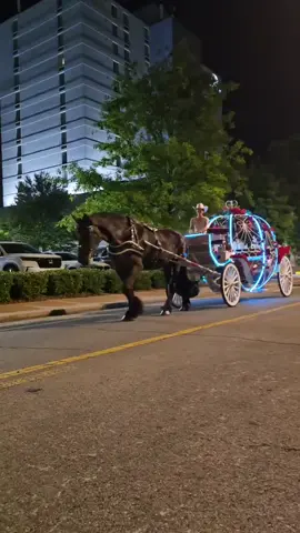 who wants a carriage ride? don't wait in line book online Chattanoogacarriage.com