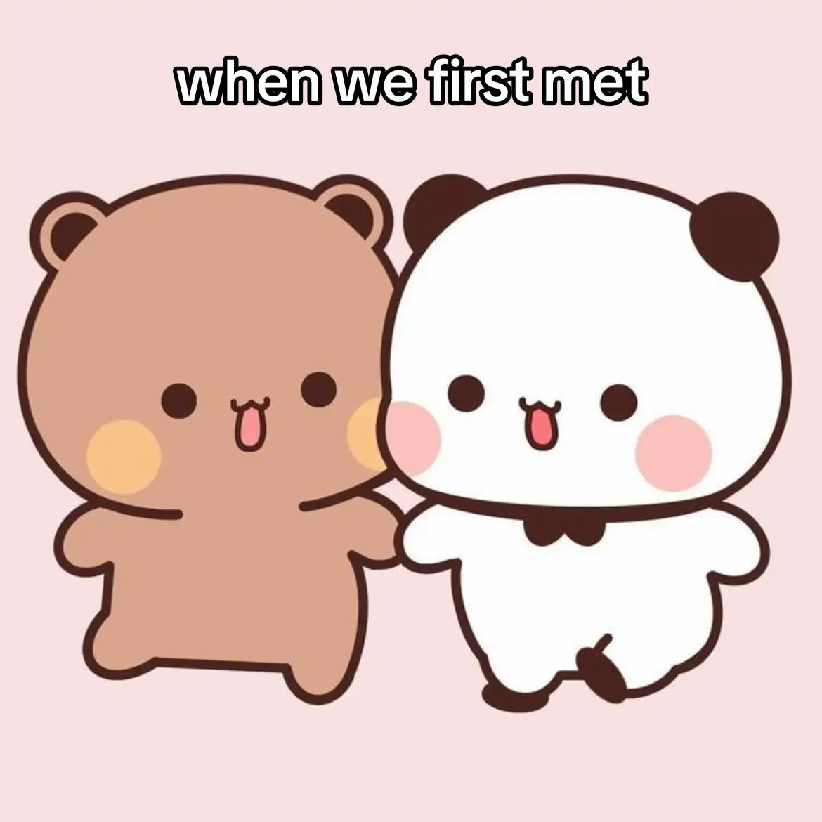 Bubu Dudu when they first met vs. now 🥹🥹🥰🥰  #bubupanda #bubu #dudu #bearpanda #bubududu #dudubear #chubbypanda #chubbybear #coupleloves 