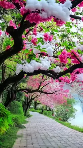 ngẫm sự đời...báo trái ngang#chill #chill #xuhuong #tamtrang #xuhuongtiktok #😊😊😊😊😊😊😊❤️❤️❤️❤️ #tiktokindia 