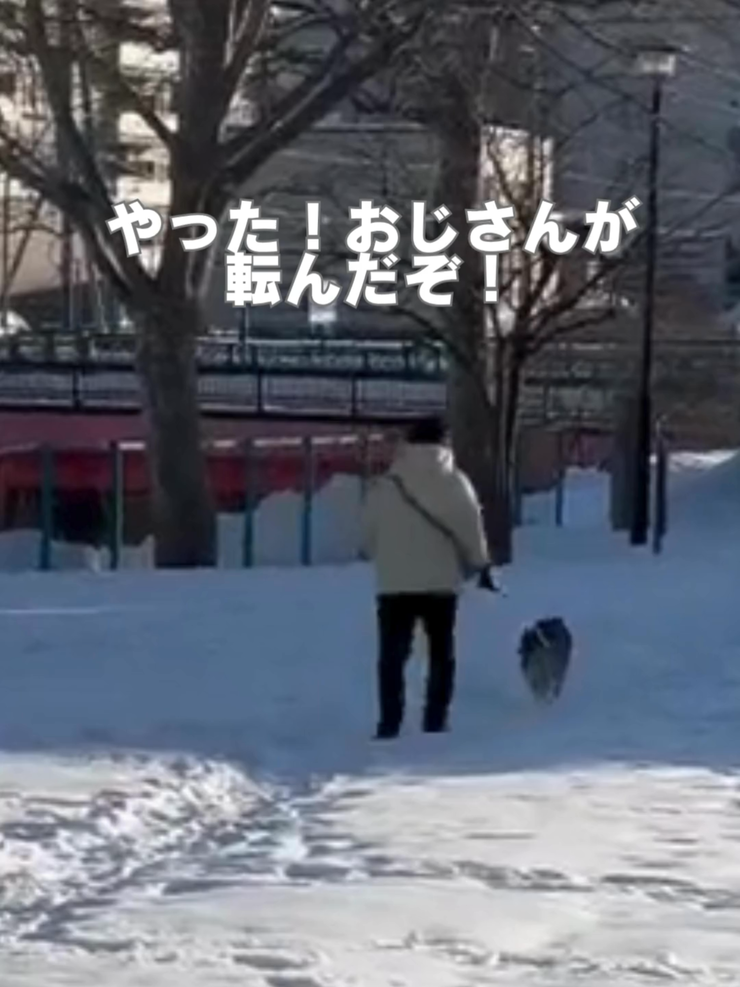 花さん大作戦結構の巻#柴犬